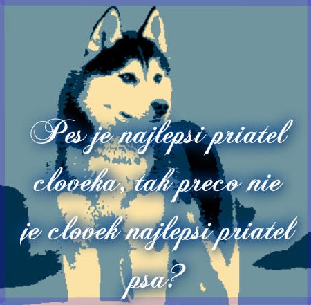 pizap.com10.57132736733183261318401155046(2).jpg